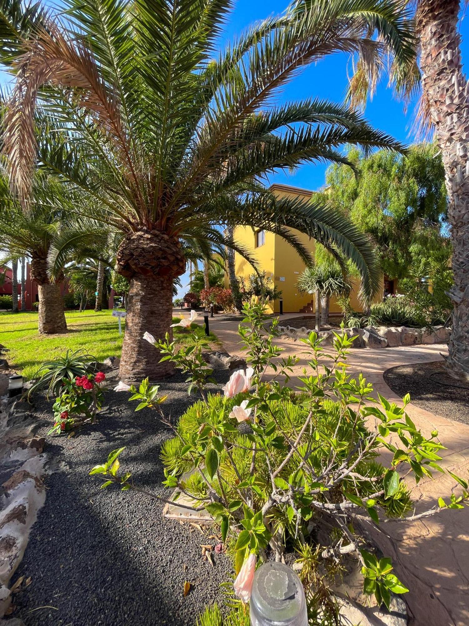 Karol Home By Best Holidays Fuerteventura Corralejo Buitenkant foto